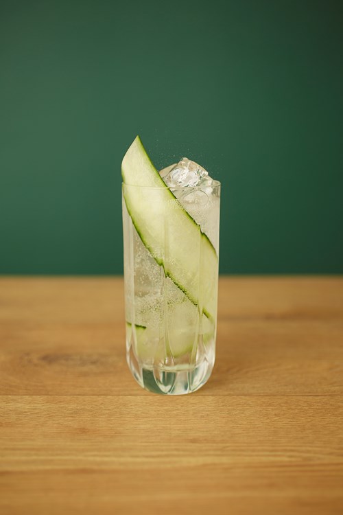 Elderflower / Cucumber 