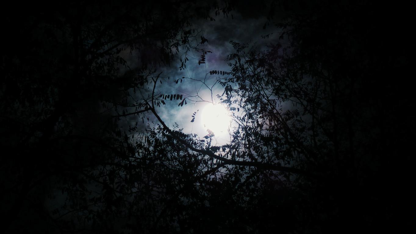 Halloween Full Moon.jpg