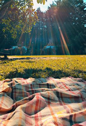 UK Picnic.jpg How-to put together the ultimate summer picnic hamper