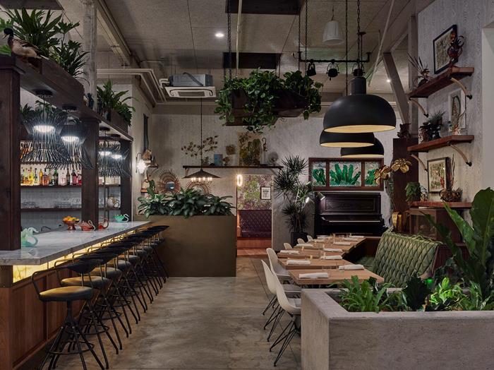 Fern Bar Interior.jpg