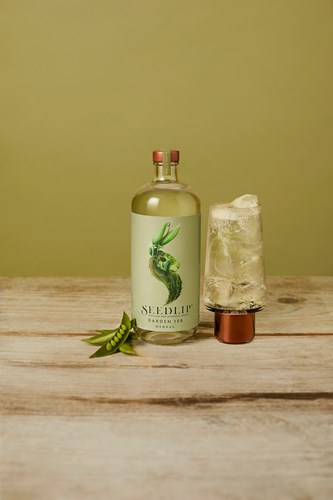 Herbal botanical drink Seedlip Garden 108 and Tonic