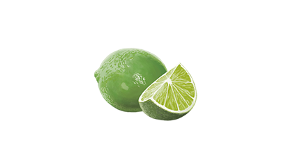 Ndg Ingredient Lime 300X300
