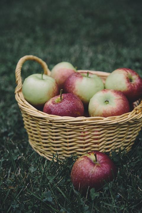 Apple Basket