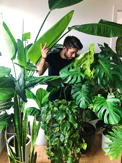 Nick & Plants