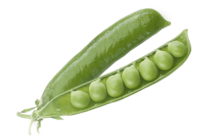 Pea Split