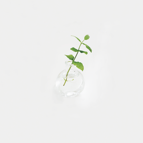 Growing Mint.png